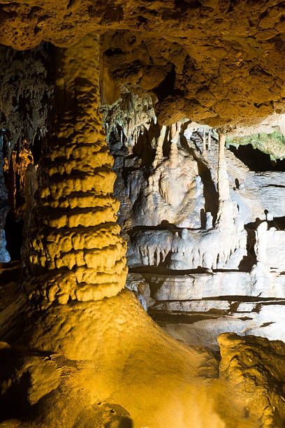 istock Stalactites and stalagmites  inside the cave at Florida Caverns 463630439