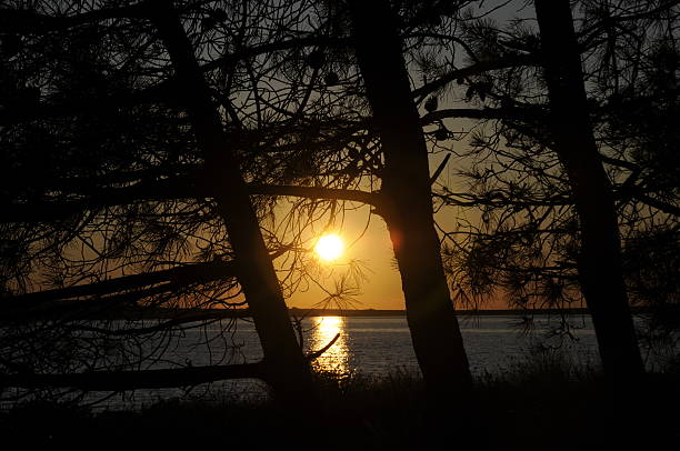 istock Coast of Croatia, sunset 463630479
