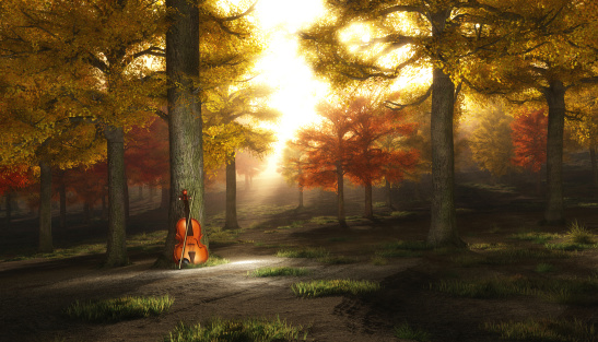 Violin in autumnal park