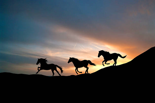 istock Galloping wild horses. Horse silhouette against the sky. 463634163