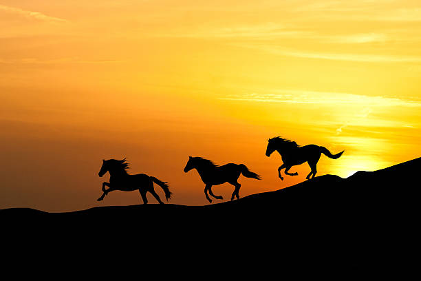 istock Galloping wild horses. Horse silhouette against the sky. 463634275