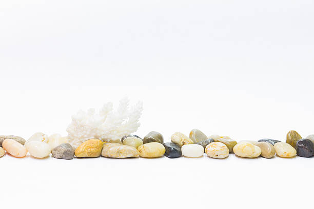 istock minimalism line of pebbles and white coral 463635299