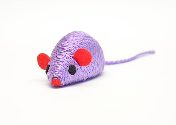 Cat Toy Stock Photo - Download Image Now - Cat's Toy, Mouse - Animal, White  Background - iStock