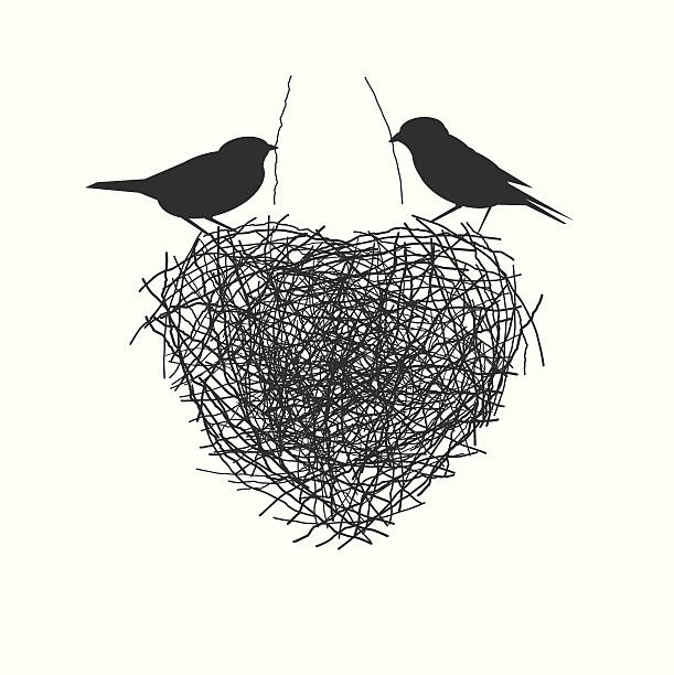 ilustraciones, imágenes clip art, dibujos animados e iconos de stock de dos pájaros que heir nest - día de san valentín festivo ilustraciones