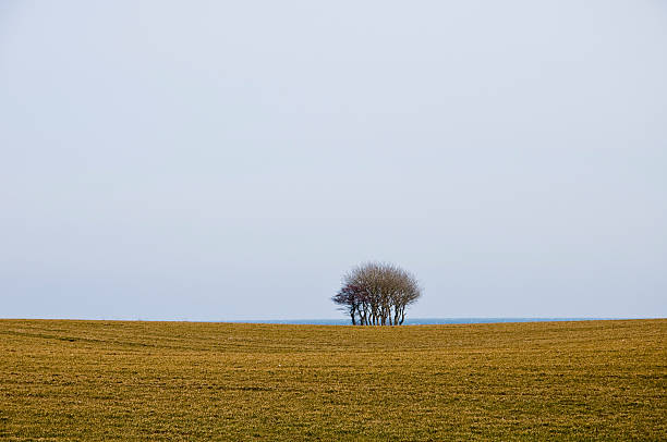 Land/water/air stock photo