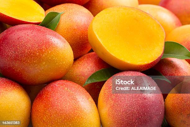 Mangoes Composición Foto de stock y más banco de imágenes de Mango - Fruta tropical - Mango - Fruta tropical, Fruta, Primer plano