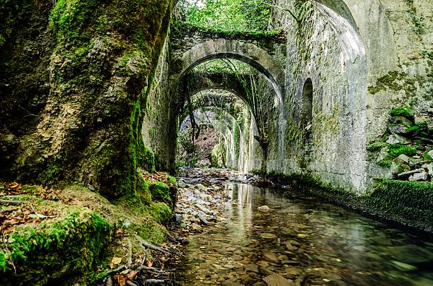 It's amazing how the nature covers everithing. This is picture inside of some cind of factory in the forest, abandoned long time ago.
