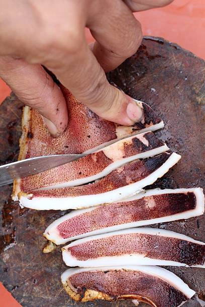 Squid grilled