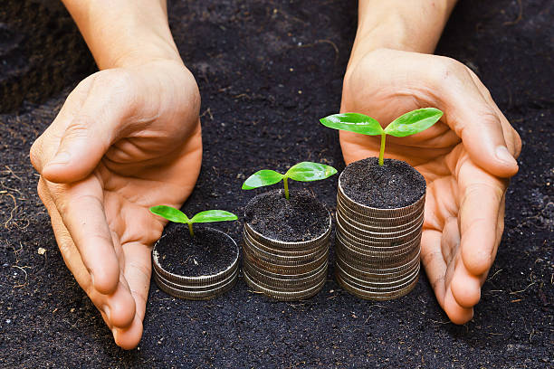 istock hands holding tress growing on coins 463671743