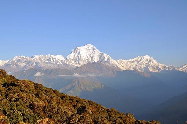 istock Annapurna massif. Nepal. 463678937
