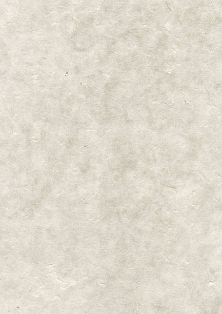 istock Natural nepalese recycled paper texture 463679383