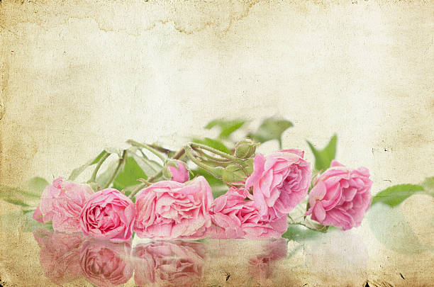 istock Pink roses on vintage paper background 463680709