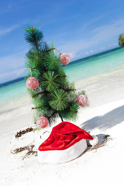 istock Celebration New Year on tropical beach 463682783