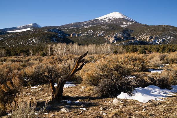 High Mountain Peak Great Basin Region Nevada Landscape Winter landscape in Great Basin National Park great basin national park stock pictures, royalty-free photos & images