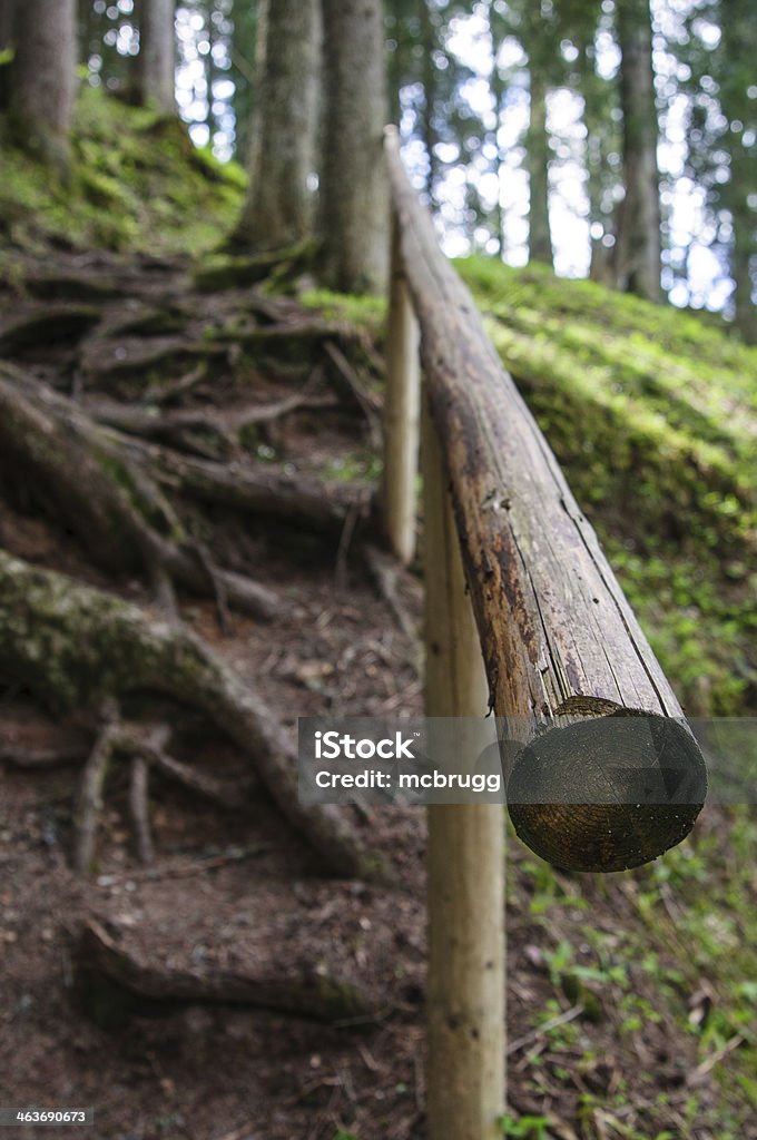 Holzgeländer Wooden handrail on a hiking trail in the forest  European Alps Stock Photo