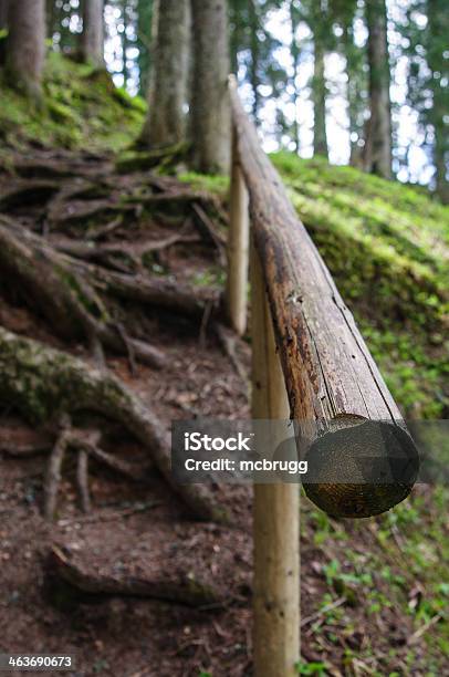 Holzgeländer Stock Photo - Download Image Now - European Alps, Footpath, Forest