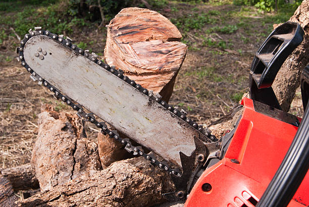 istock Wood cutting chainsaw 463692747
