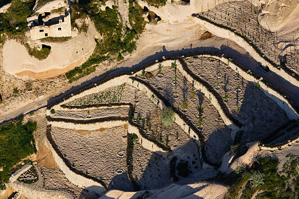 istock Aerial view on terraces in rocks 463693451