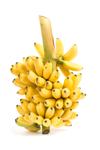 Banana bunch cluster isolated on white background
