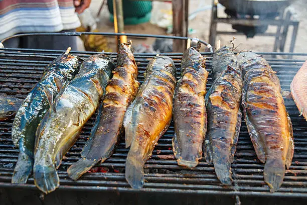 Grilled catfish on the stove on the market.