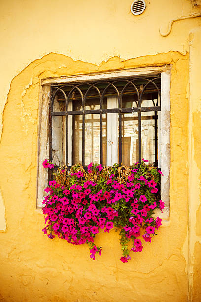 istock Old window in Venice, Italy 463716499