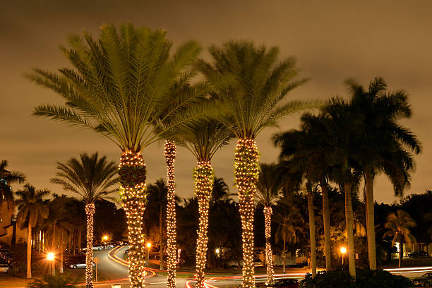 noche de tráfico de coral gables - coral gables fotografías e imágenes de stock