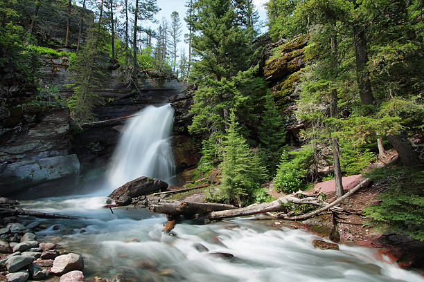 istock Baring Falls in Glacier National Park 463729473