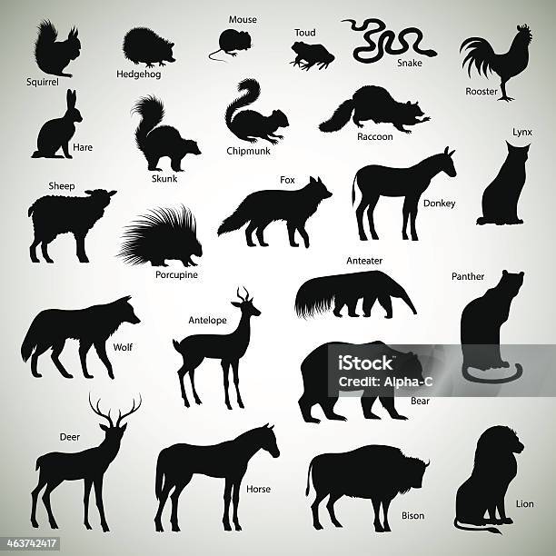 Animal Silhouettes Stock Illustration - Download Image Now - Skunk, Porcupine, Vector