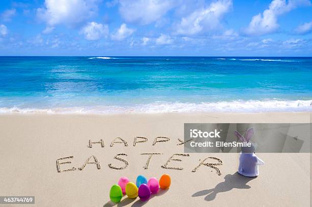 幸せなイースターのウサギサインオンザビーチ - イースターのストックフォトや画像を多数ご用意 - イースター, お祝い, まぶしい