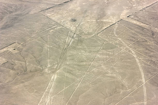 rysunki z nazca peruwiańska desert - floating of ice zdjęcia i obrazy z banku zdjęć