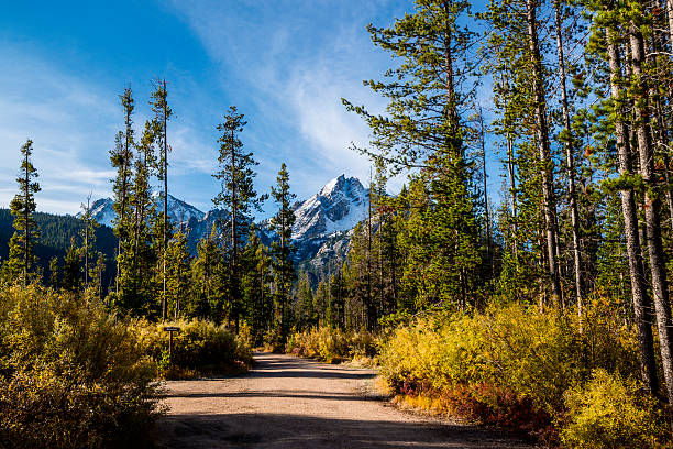 mont mcgowan, stanley, dans l'idaho - idaho mountains photos et images de collection