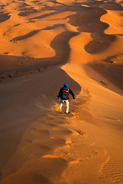 homme sur erg chebbi sand dunes au lever du soleil, au maroc, en afrique - natural landmark outdoors vertical saturated color photos et images de collection