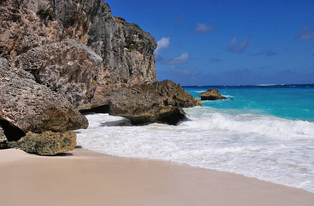 istock View of Beach in Barbados 463756797