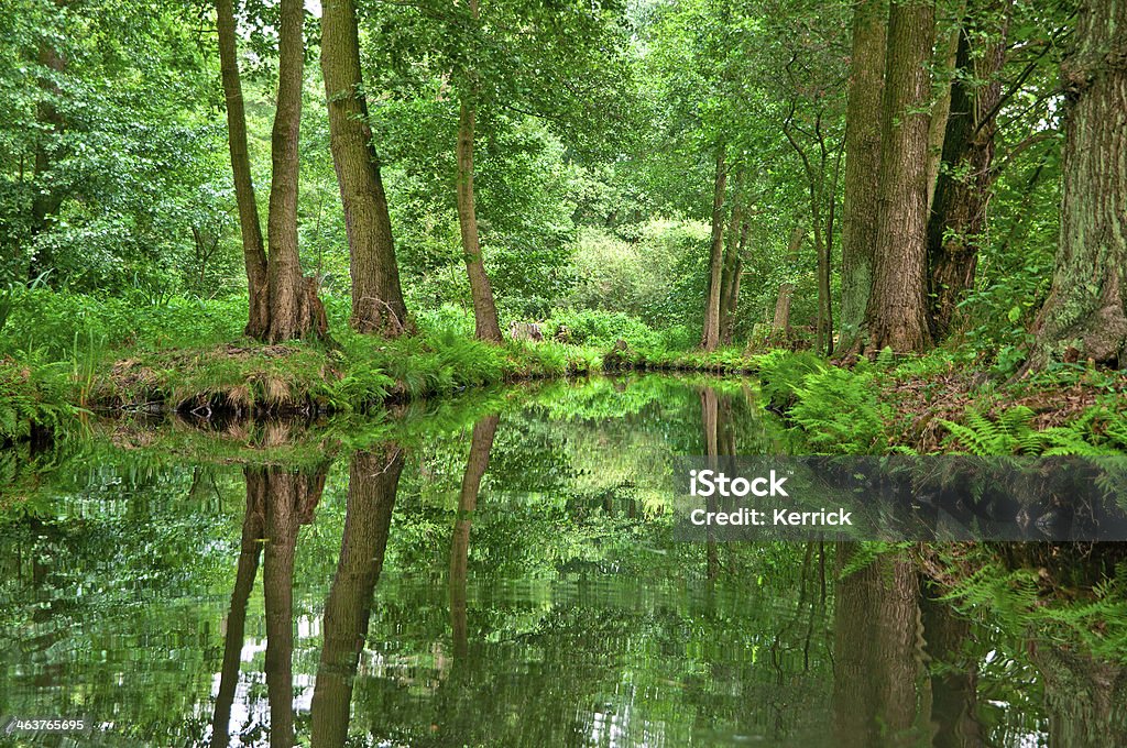 강 풍경, 녹색 숲 Spreewald/독일 - 로열티 프리 0명 스톡 사진