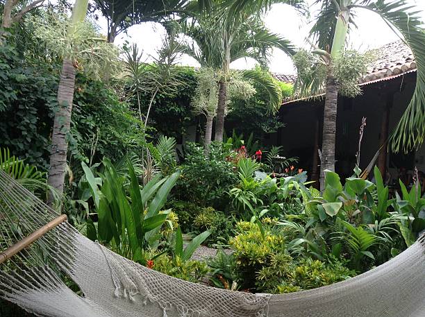 istock White hammock in front of garden 463772561