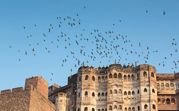 istock Mehrangarh Fort in Jodhpur 463772659