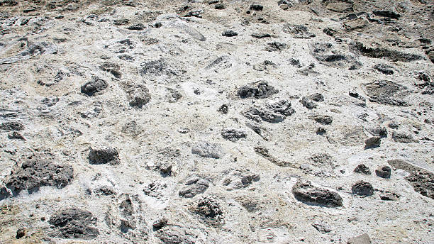 plage rocheuse fond de texture - marble white cracked painterly effect photos et images de collection