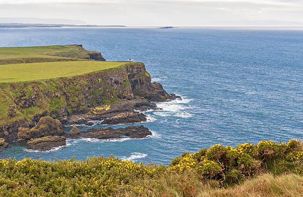 istock Giant's Causeway, Northern Ireland 463774277
