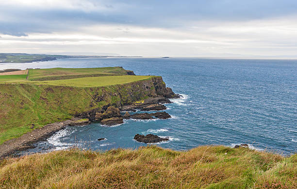 istock Giant's Causeway, Northern Ireland 463780411