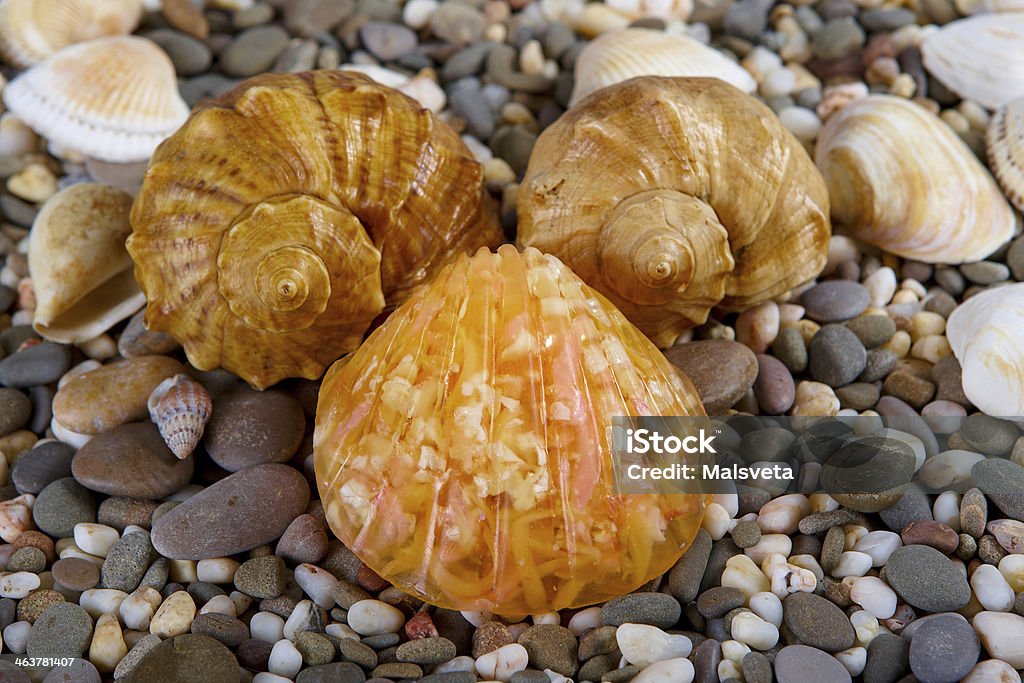 Natural Soap Skincare Products Natural skincare products of  exfoliating scrub, soap and sea shells on background  sea pebble Bar Of Soap Stock Photo