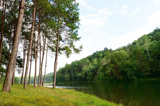 Photo of Popular Lake in Mae hong son, Pang Ung, Thailand