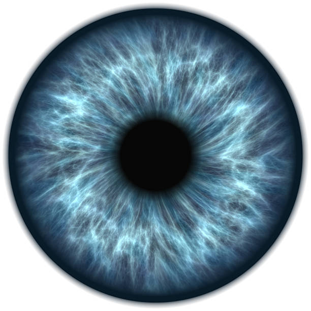 blue iris blue iris eyeball photos stock pictures, royalty-free photos & images