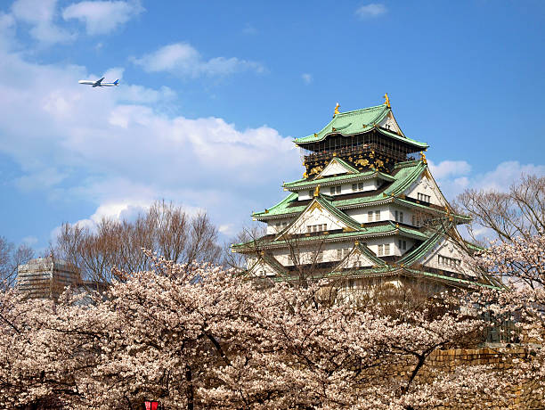 castelo com flor de sakura japonesa - osaka prefecture - fotografias e filmes do acervo