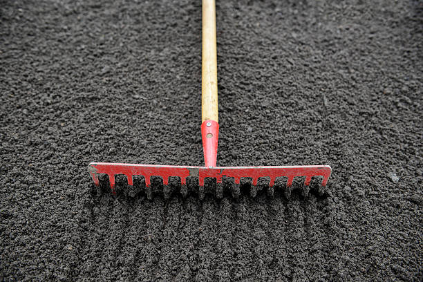 rake garden rake garden fork stock pictures, royalty-free photos & images