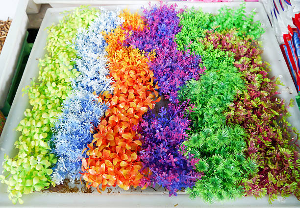 istock Colorful  for fish tank. 463796675