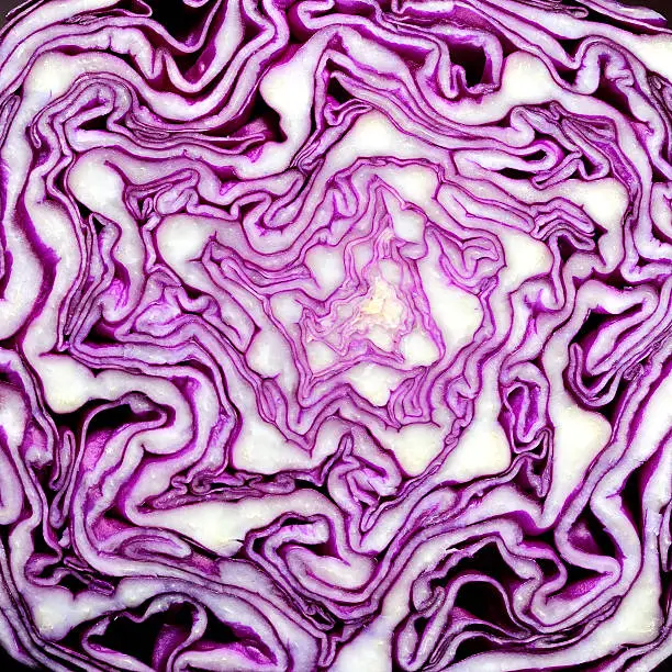 Red cabbage head cut through, exposing an organic pattern.