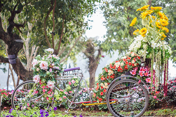 istock garden in summer 463800129