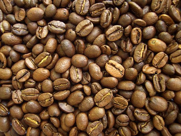 coffee bean