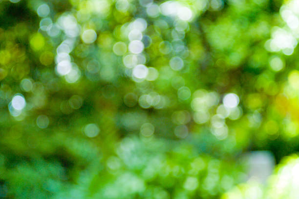 istock Surprise colorful bokeh . 463801217