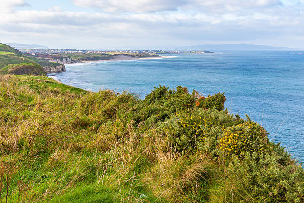 istock Beautiful coast in Ireland 463802323